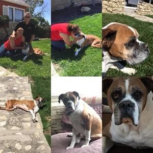 Meet your Posher, Norma